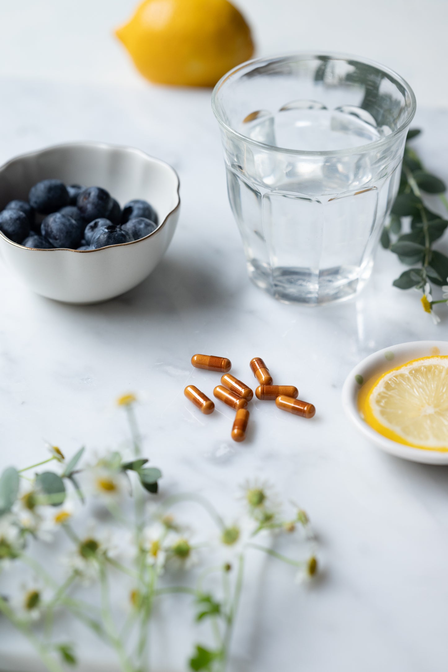 【限定】ルテビタ初回限定価格『980円』キャンペーン